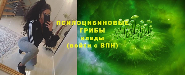мескалин Лабытнанги