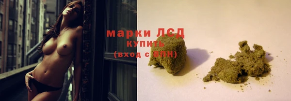 крисы Лагань