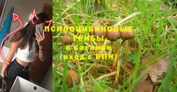 мескалин Лабытнанги