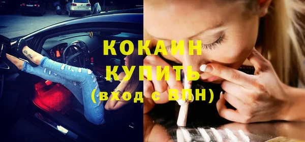 крисы Лагань