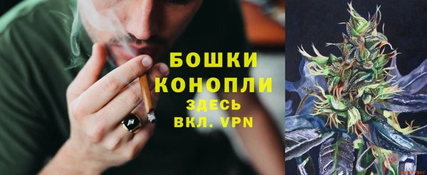 МДПВ Нижний Тагил