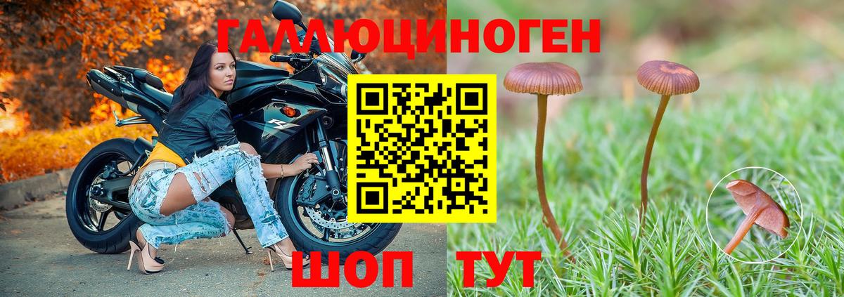 Галлюциногенные грибы прущие грибы  Каспийск 